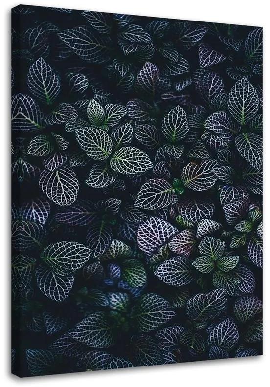 Obraz na plátně, Fialové listy Příroda - 60x90 cm