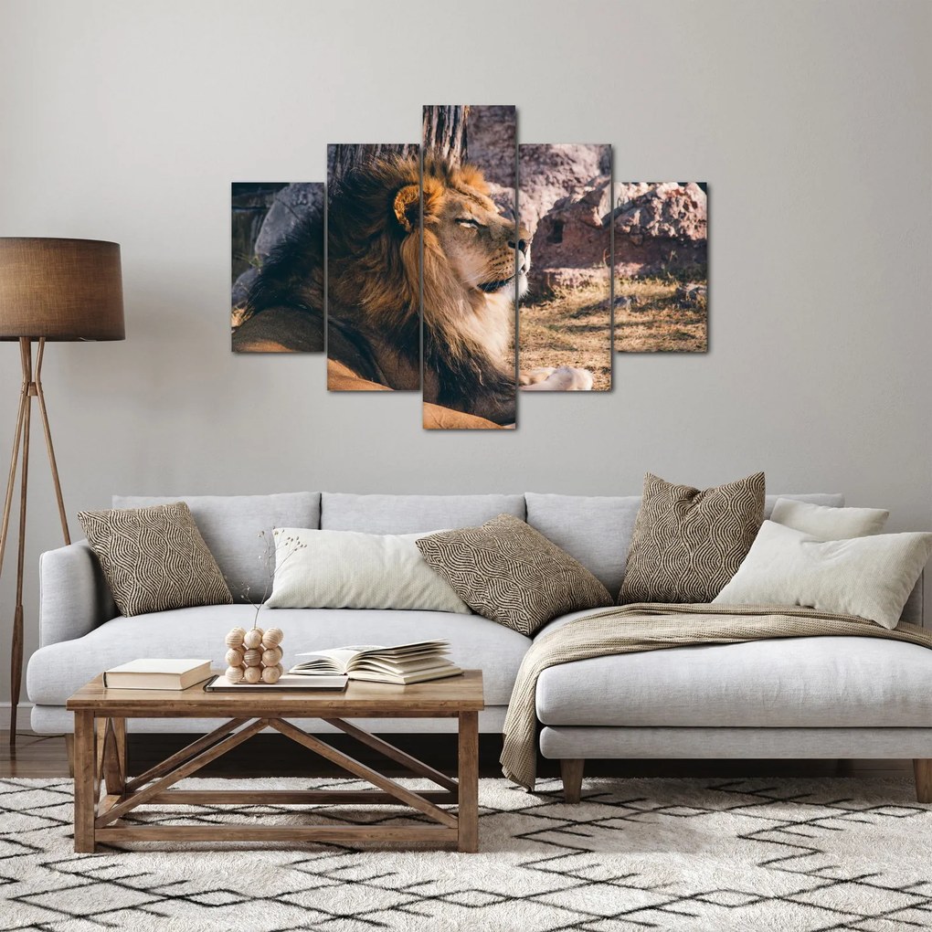 Obraz ležiaceho leva (150x105 cm)
