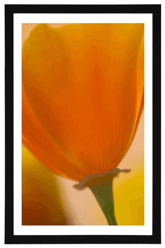 Plagát s paspartou kytica kvetov v detailnom zábere - 40x60 black
