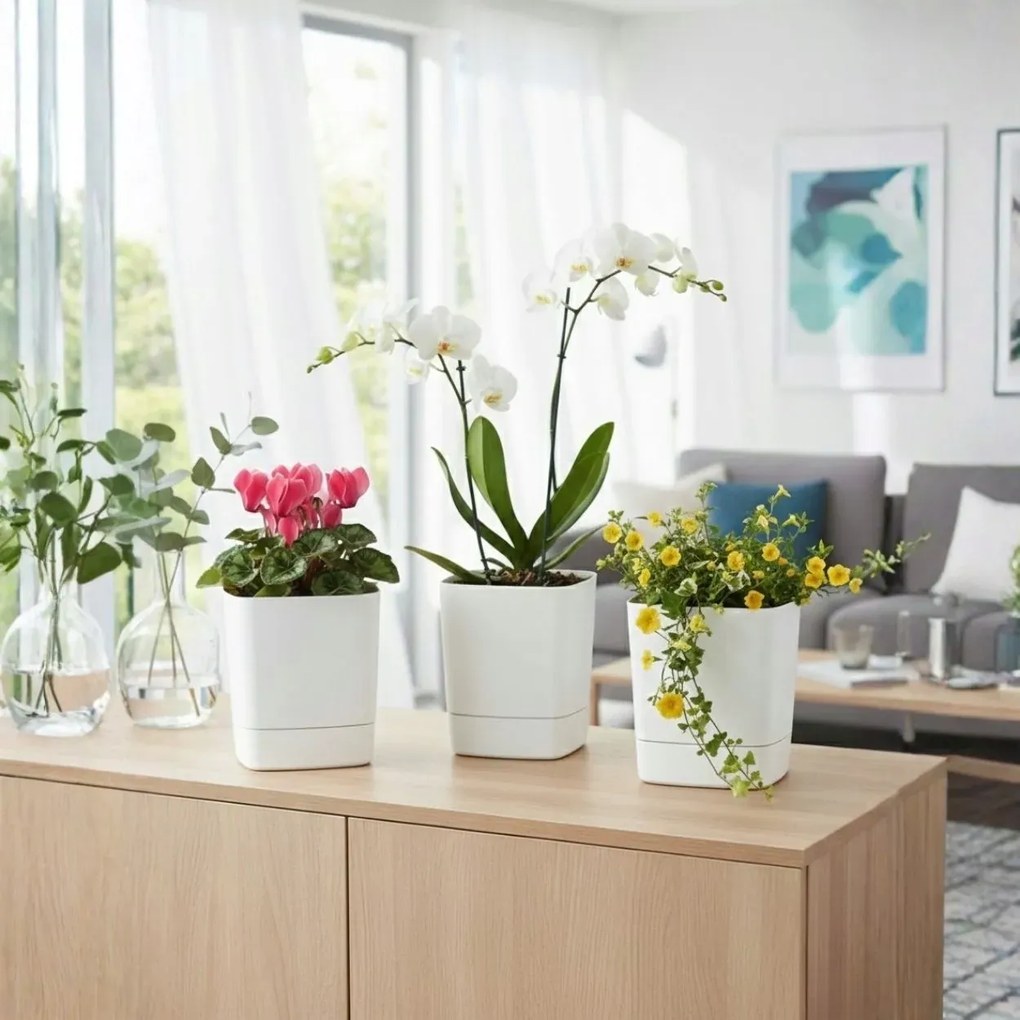 - výber z 6 prevedení