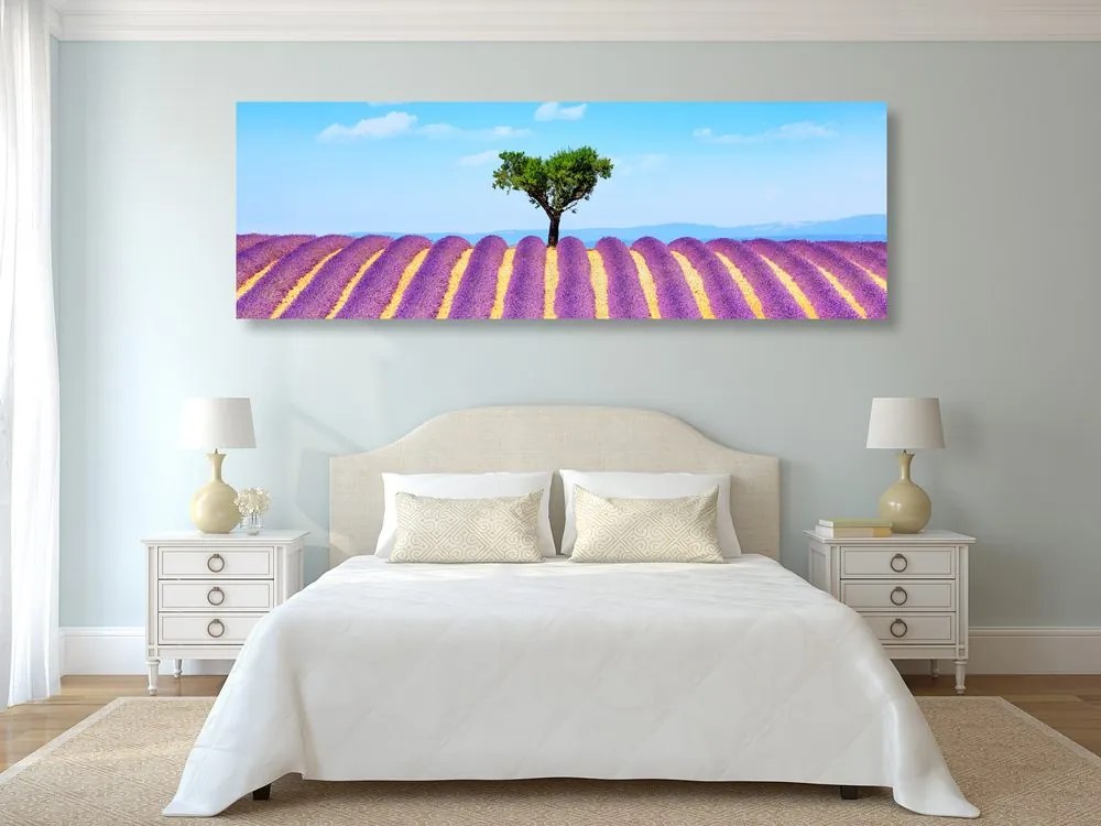 Obraz provensálske levanduľové pole Varianta: 120x40