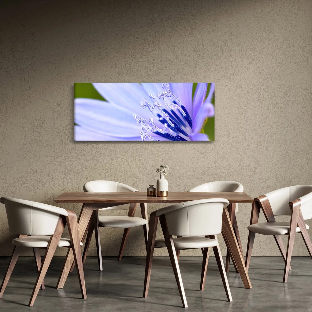 Obraz - kvet (120x50 cm)