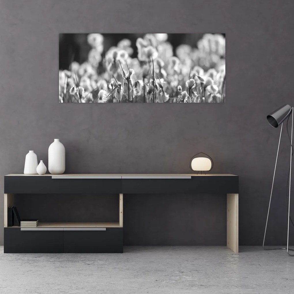 Obraz - Letná lúka (120x50 cm)