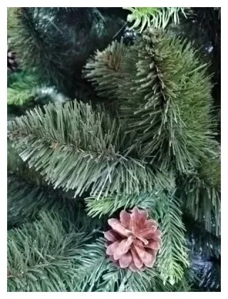 Limpol Vianočný stromček so železným stojanom borovica Pola 180 cm