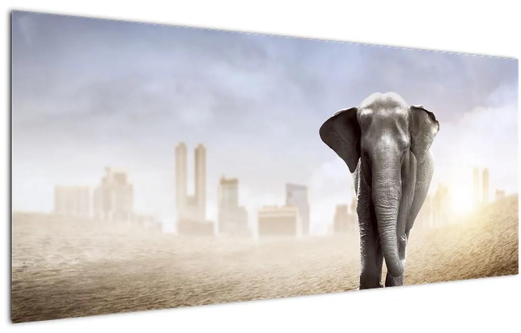 Obraz - Sloníčka vo veľkomeste (120x50 cm)