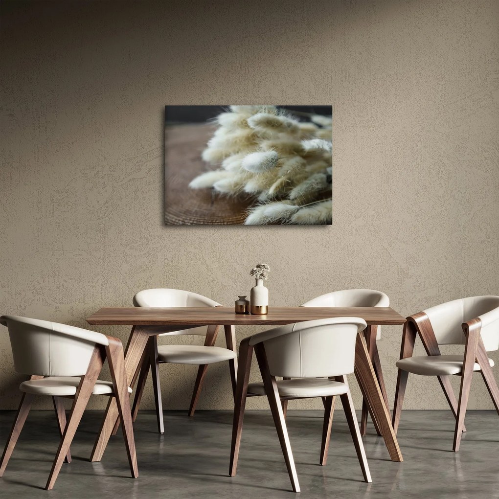 Obraz - Zajačí chvostík (70x50 cm)