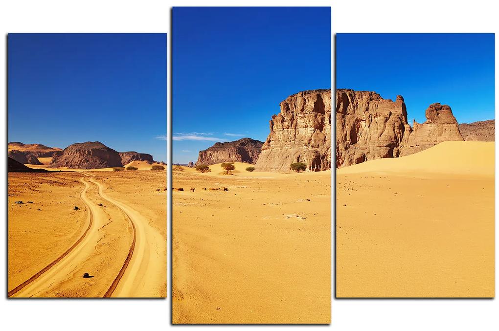 Obraz na plátne - Cesta v púšti 1129C (105x70 cm)