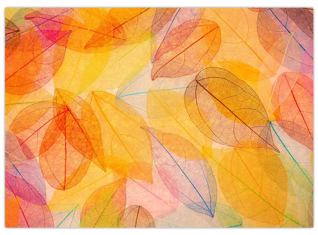 Sklenený obraz - Pozadie z jesenného lístia (70x50 cm)