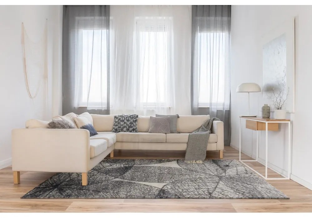 Sivý koberec 160x230 cm Lush – FD