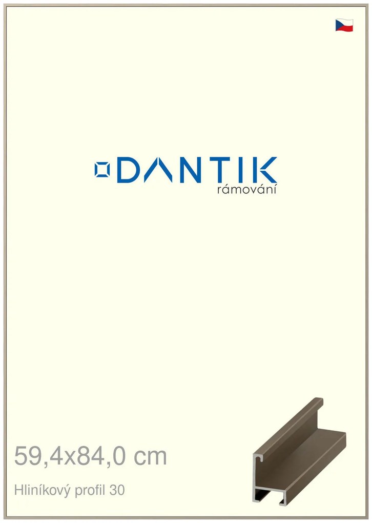 DANTIK rám na obraz 59,4x84 | ALU champagne (Plexi Čiré)