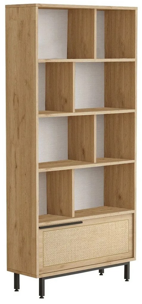 Knižnica z jedného orecha a dubu