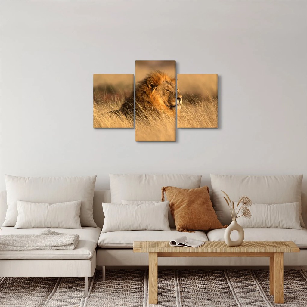 Obraz - Národný park Etosha (90x60 cm)