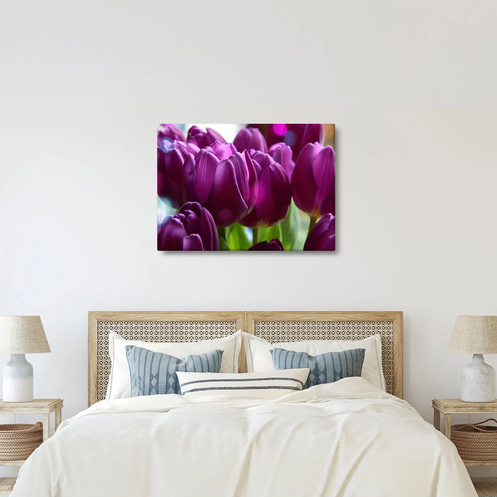 Obraz tulipánov (70x50 cm)