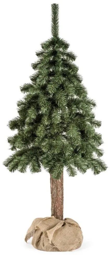 Vianočný stromček na kmeni NATURAL 150 cm jedľa