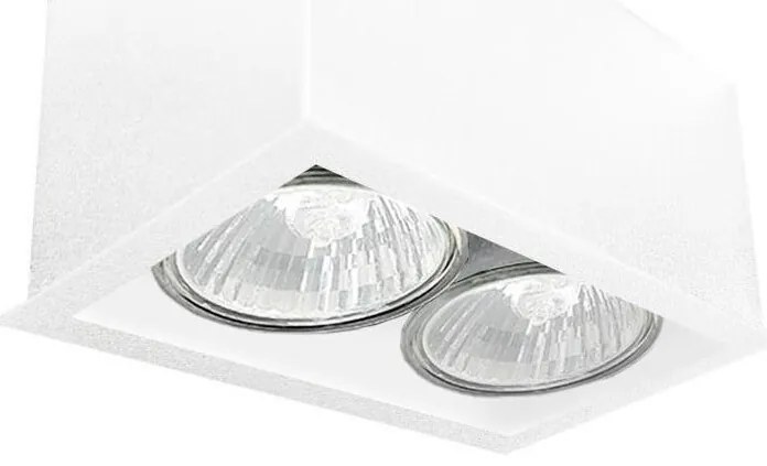 Brosline 1081 - Bodové svietidlo CAGE 2xGU10/10W/230V biela
