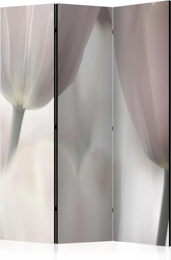 Paraván - Tulips fine art - black and white [Room Dividers] 135x172