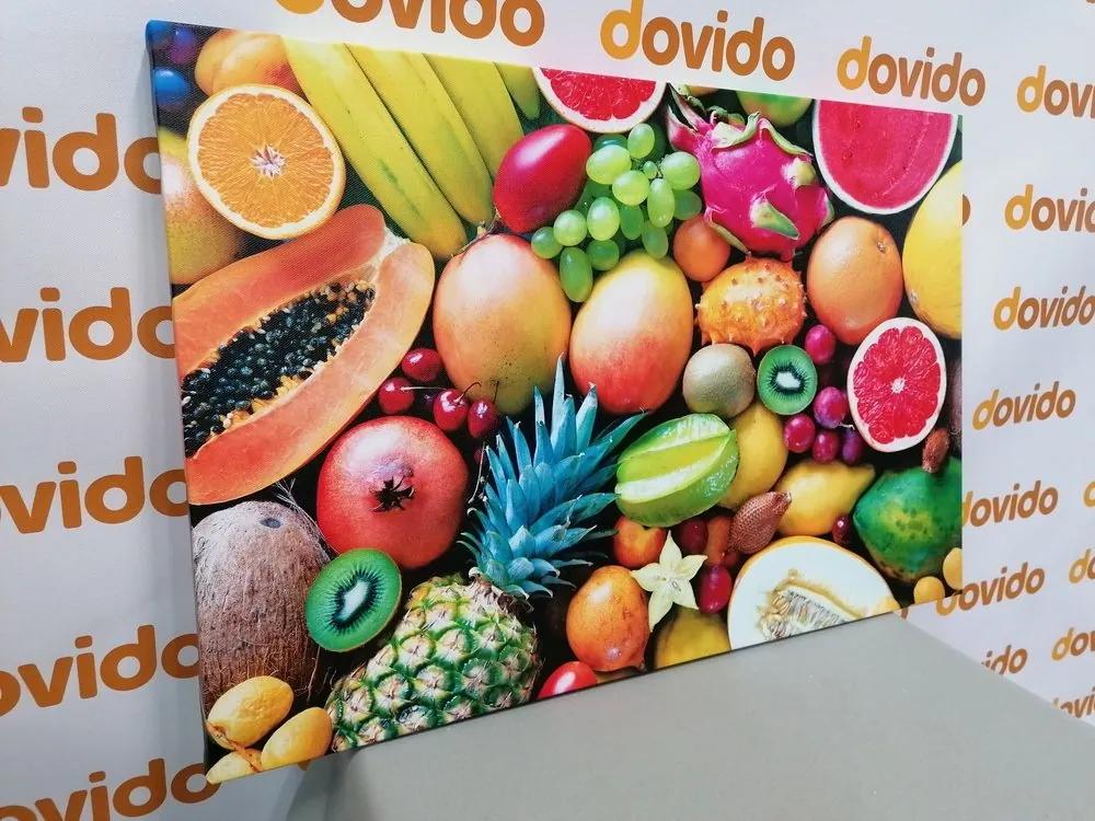 Obraz tropické ovocie - 120x80