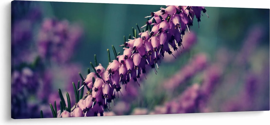 Obraz levandule (120x50 cm)