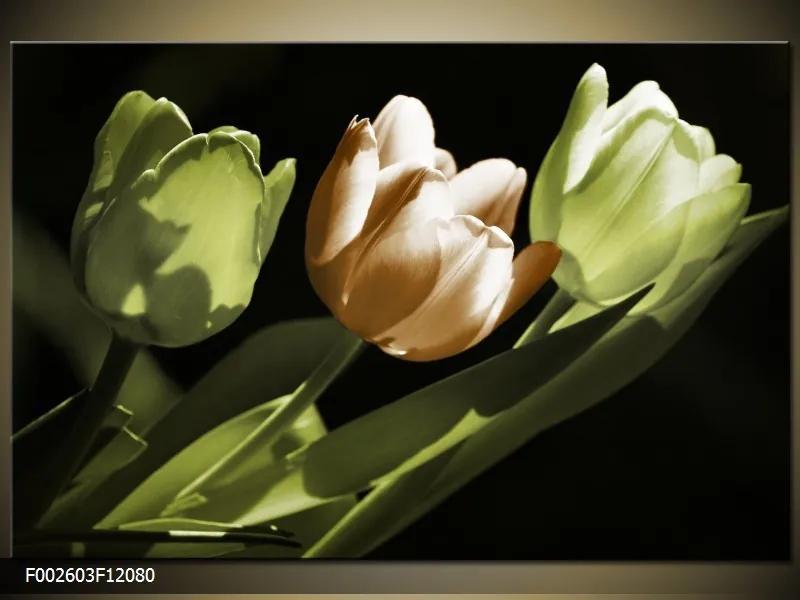 Obraz na plátne Tri tulipány, Obdĺžnik 120x80cm 87,92 €