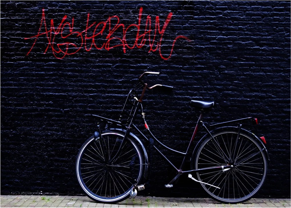 Obraz bicykla v Amsterdame (70x50 cm)