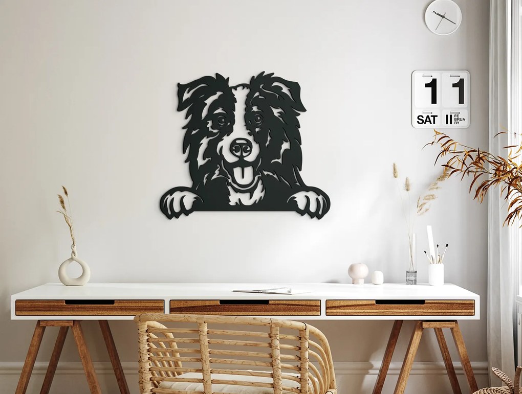 drevko Drevený obraz Borderská kólia Rozmer obrazu: 38 x 44,5 cm, Farba dekorácie: Čierna