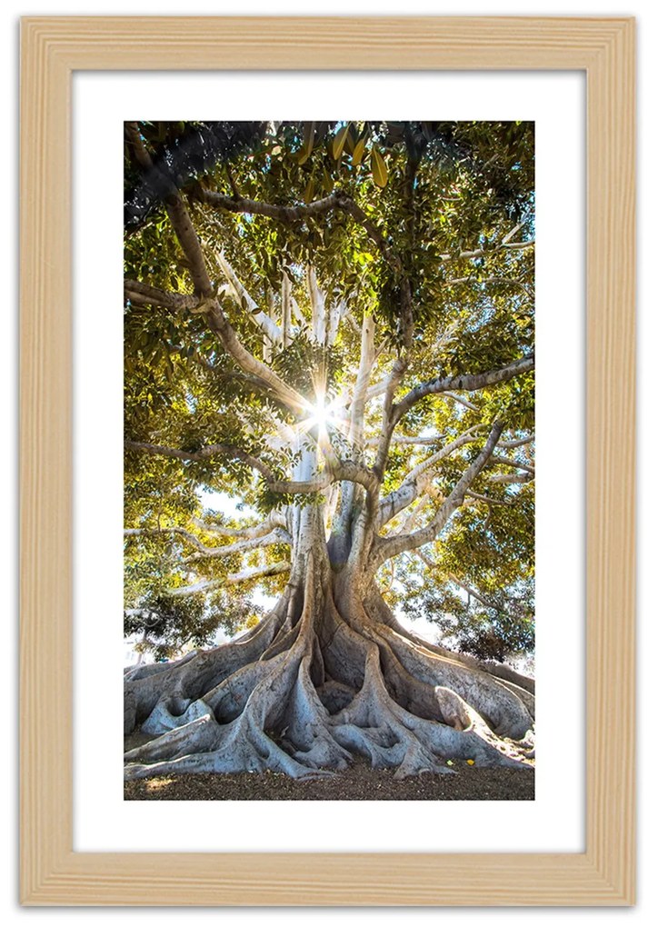 Gario Plagát Veľký exotický strom Farba rámu: Bez rámu, Rozmery: 40 x 60 cm