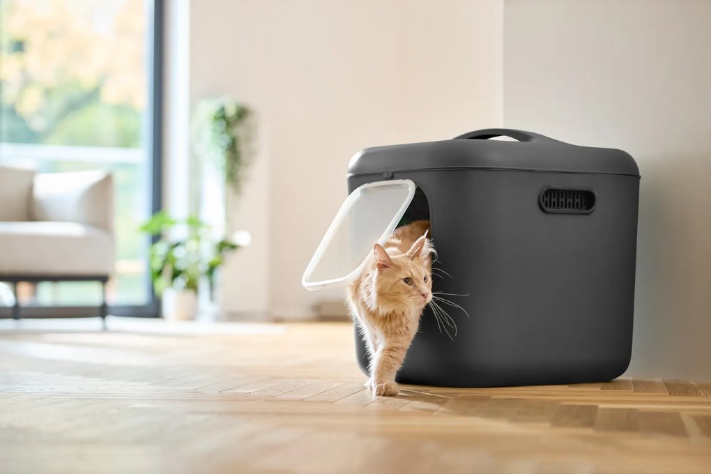 Rotho 2. kvalita - Mačacia toaleta, krytý záchod pre mačky CAT XXL - čierna