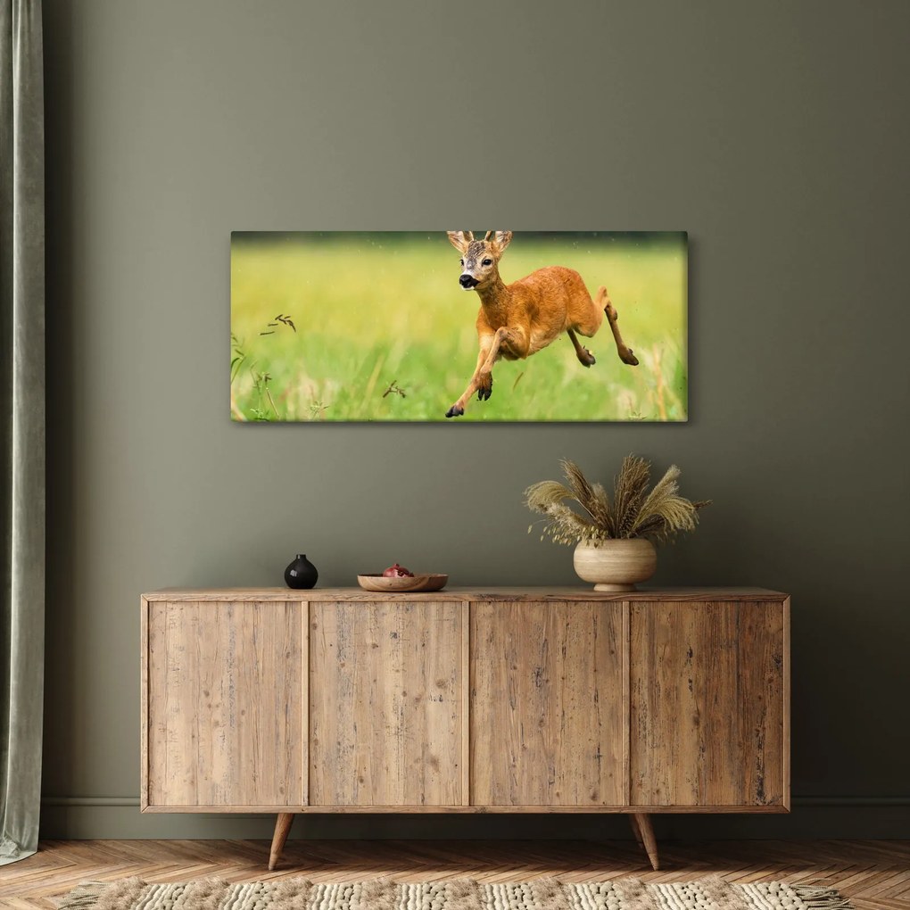 Obraz - Srnček (120x50 cm)