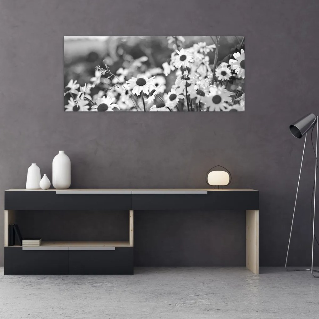 Obraz - Kopretiny (120x50 cm)