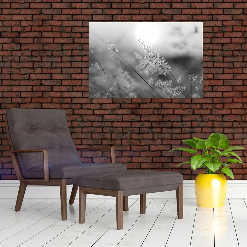 Obraz - Jesenná lúka (90x60 cm)