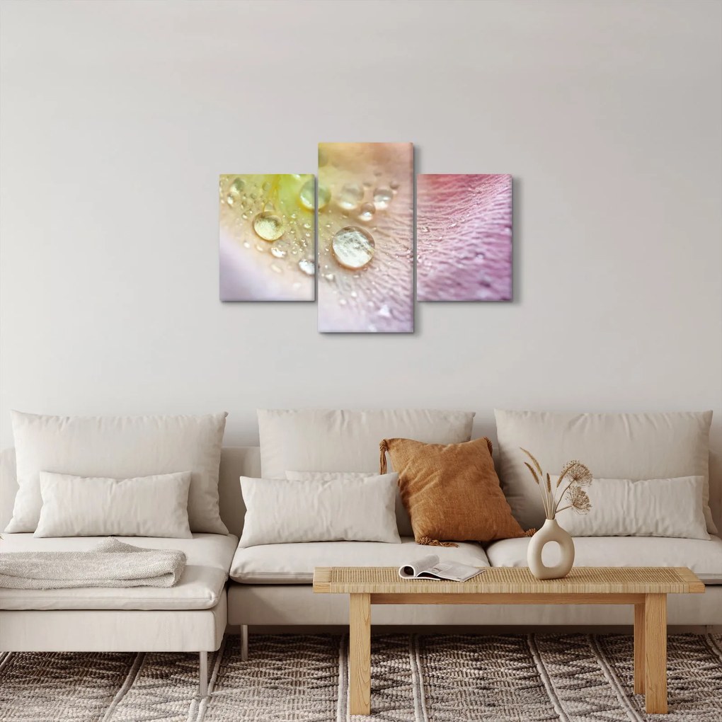Obraz - Kvapôčky (90x60 cm)