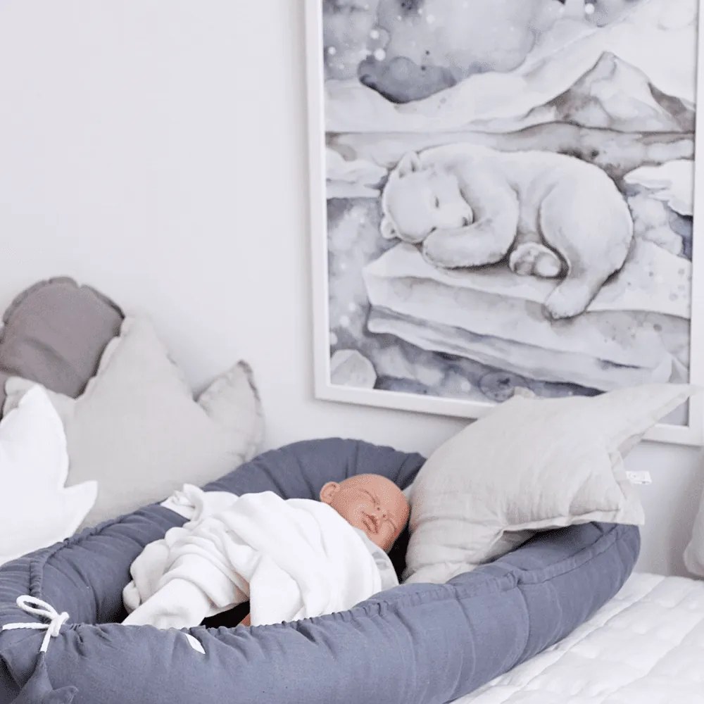 Plagát medveď 50x70cm