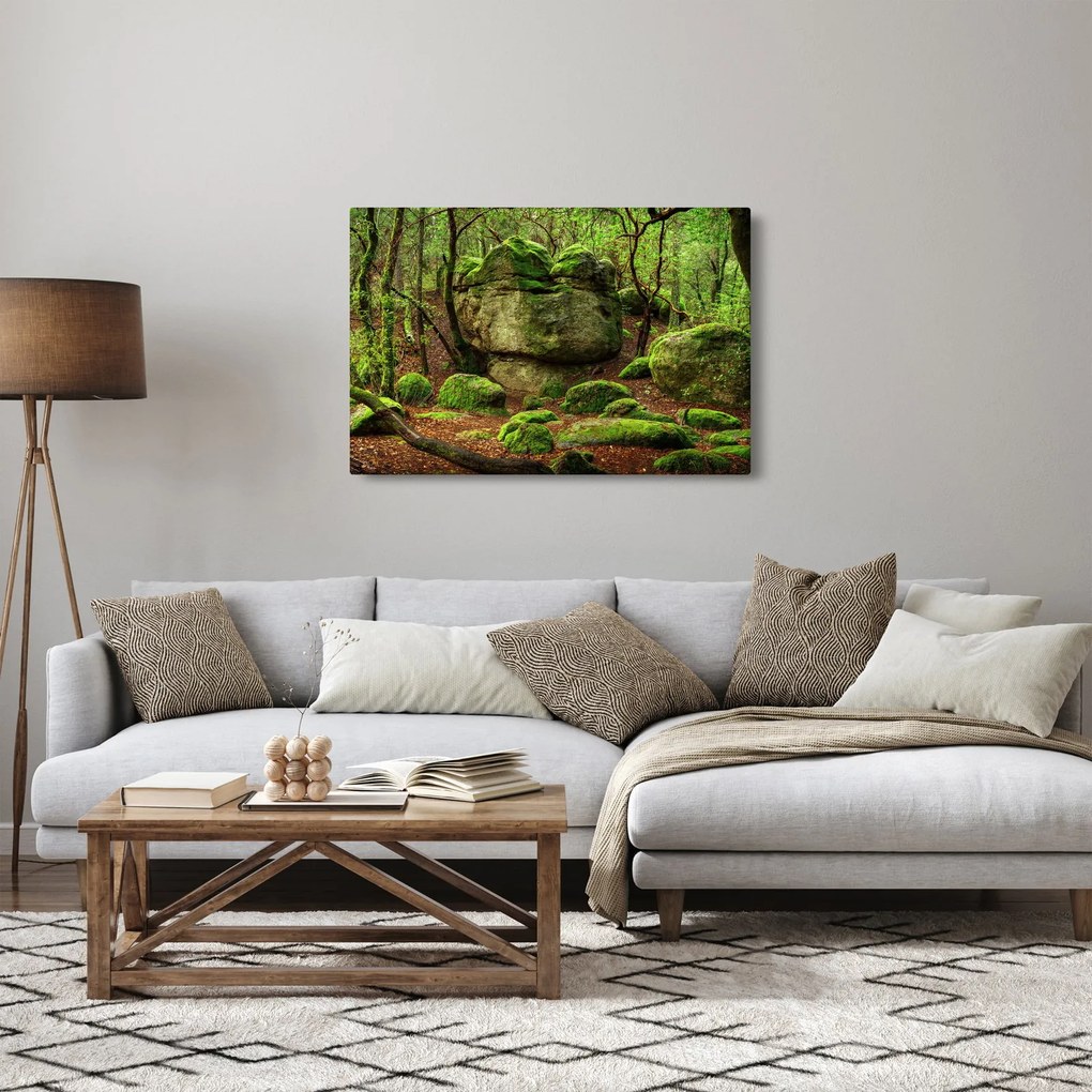 Obraz čarovného lesa (90x60 cm)