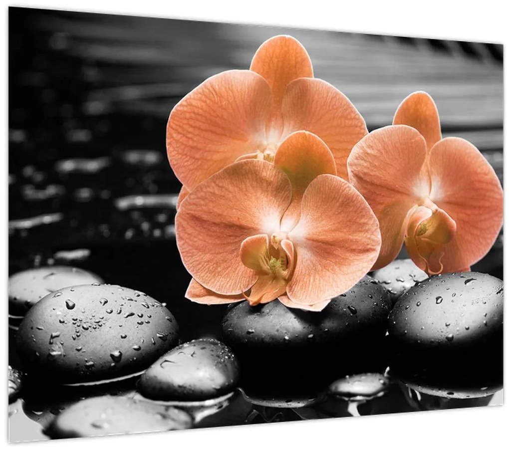 Sklenený obraz - Oranžové orchidey (70x50 cm)