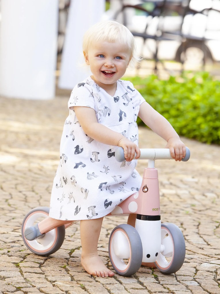 WELLHOX Balančný bicykel "Flamingo"