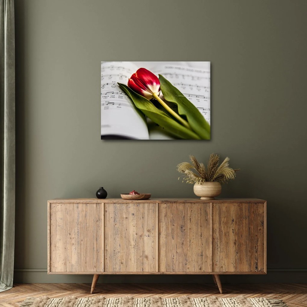 Obraz červeného tulipánu (70x50 cm)