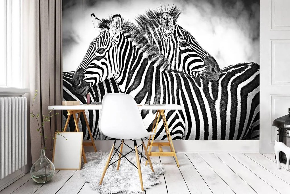 Fototapeta - Zebra (152,5x104 cm)