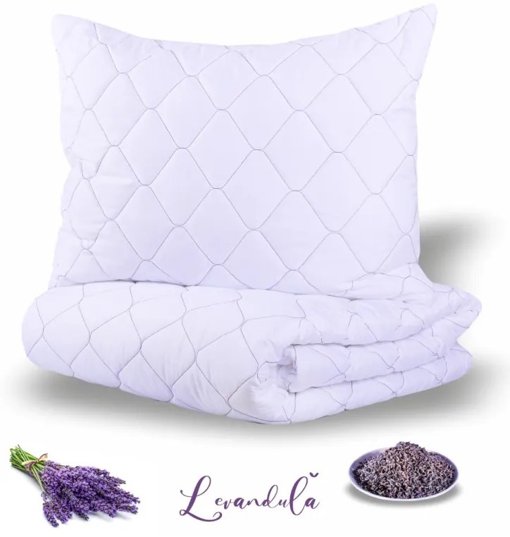 Set prikrývky a vankúša Levanduľa 140x200 70x90 EMI