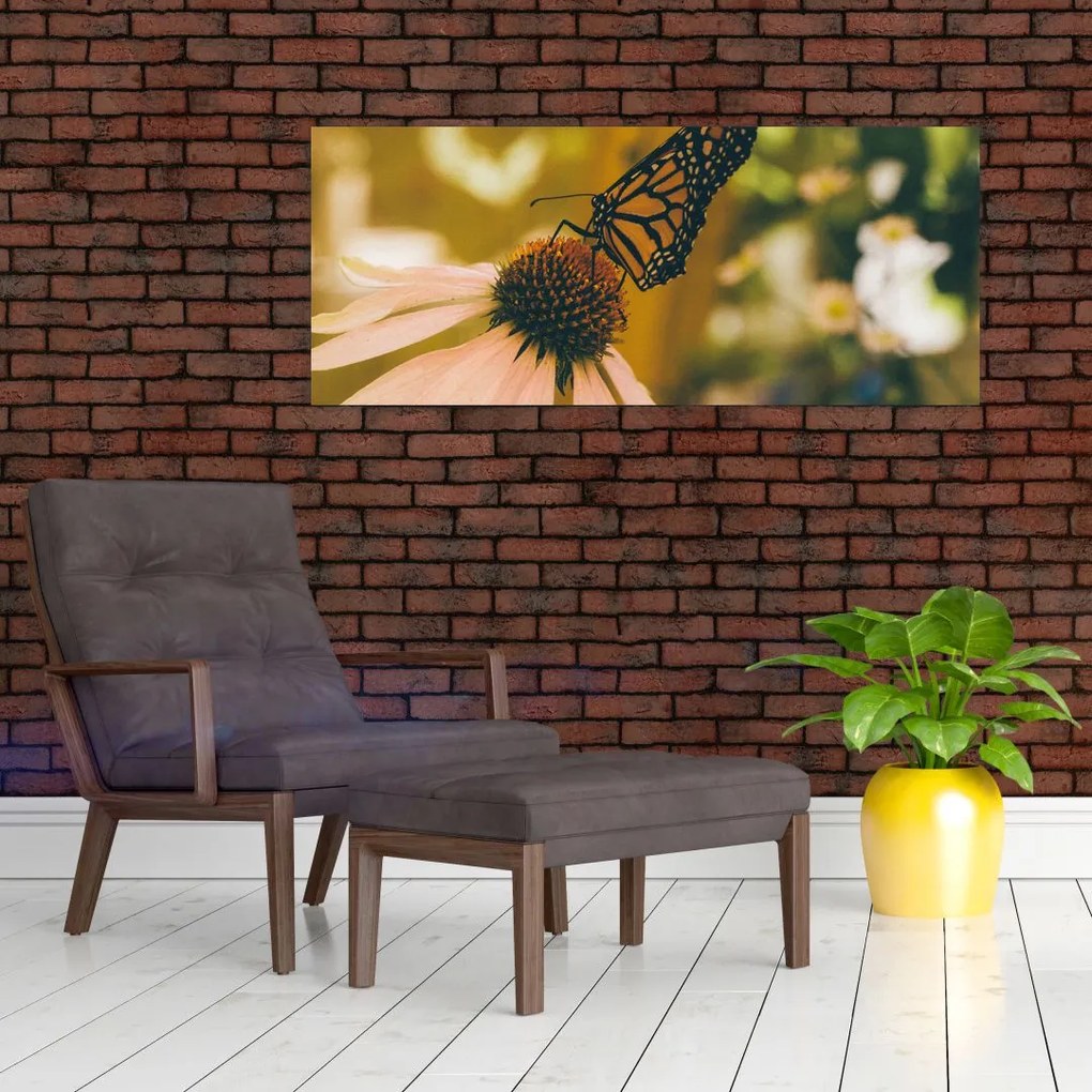 Obraz motýľa na kvetine (120x50 cm)