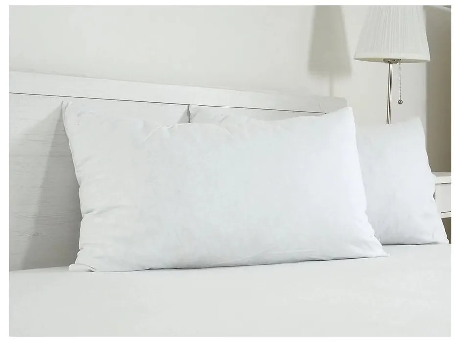 Bavlnená obliečka na vankúš 45x75 cm Visco – B.E.S.