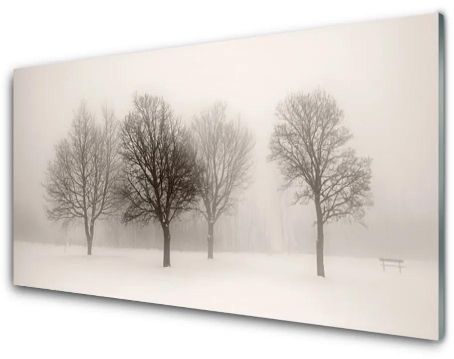 Skleneny obraz Sneh stromy príroda 120x60 cm