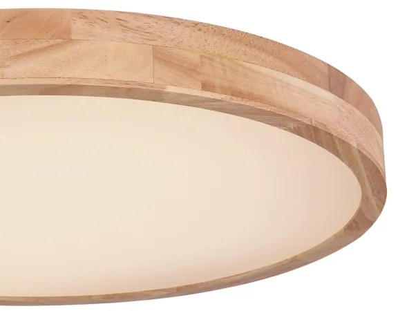 Globo 41745-48 - LED Stmievateľné stropné svietidlo RAINER LED/48W/230V + DO