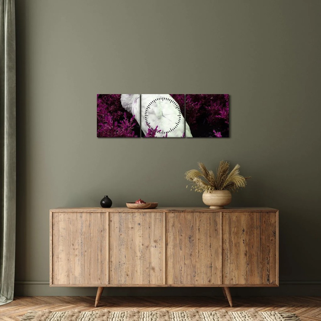 Obraz - Biely páv (s hodinami) (90x30 cm)