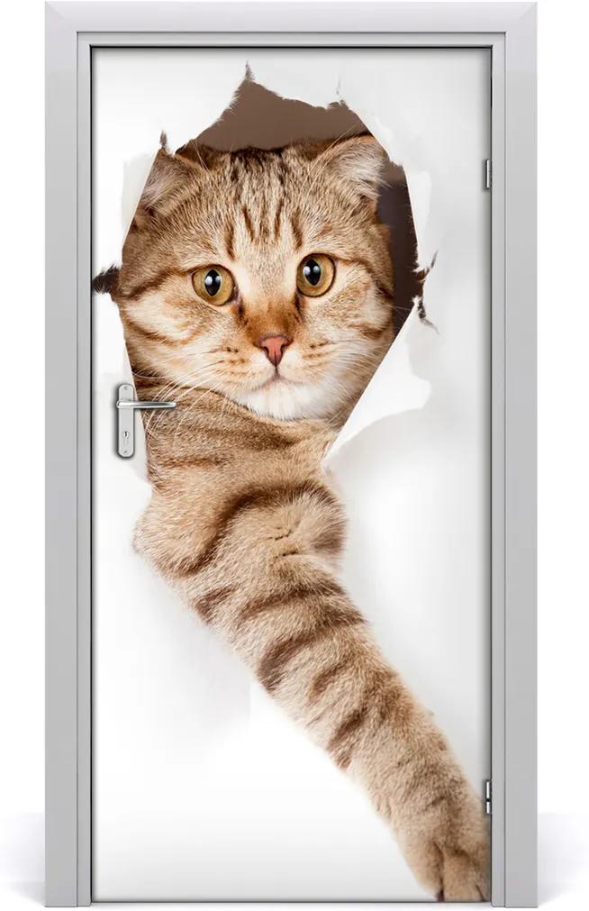 Samolepící fototapeta na dveře Kočka
