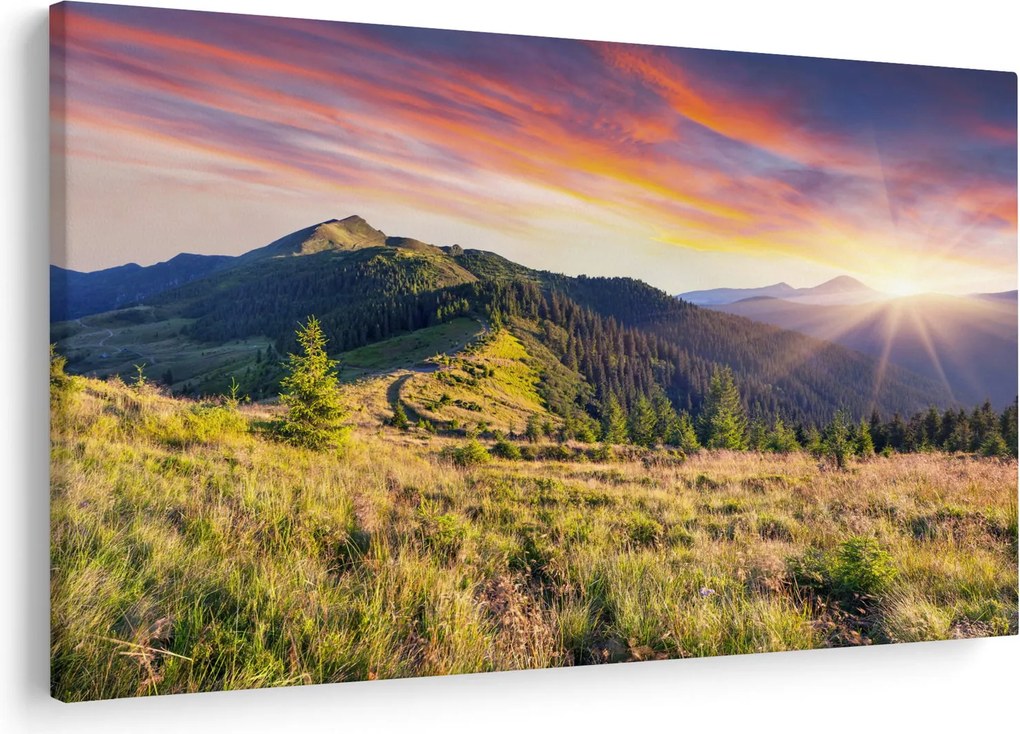 Obraz - Lesná krajina (90x60 cm)