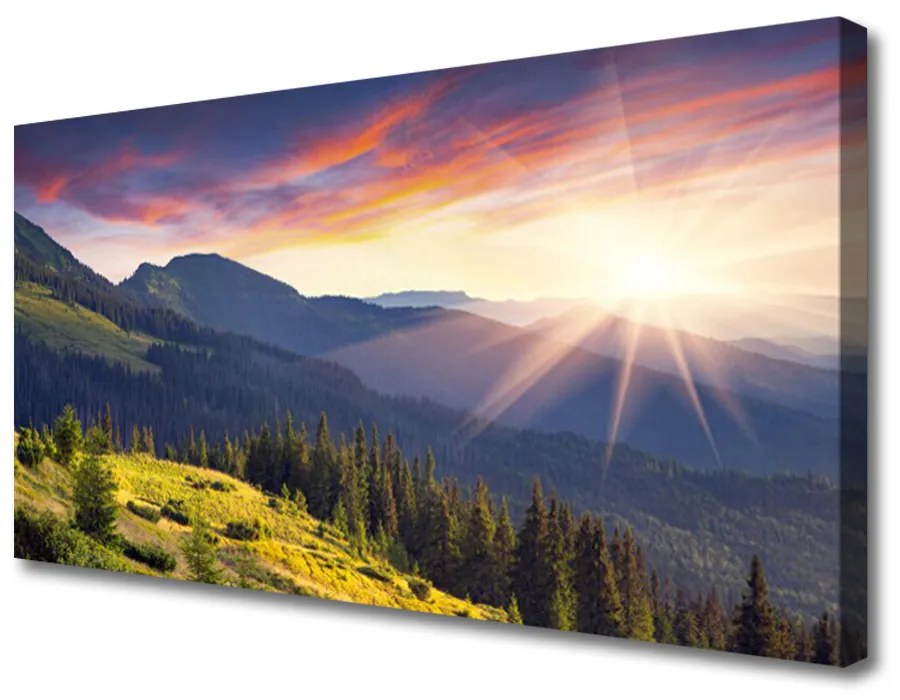 Obraz Canvas Hora les slnko krajina 100x50 cm
