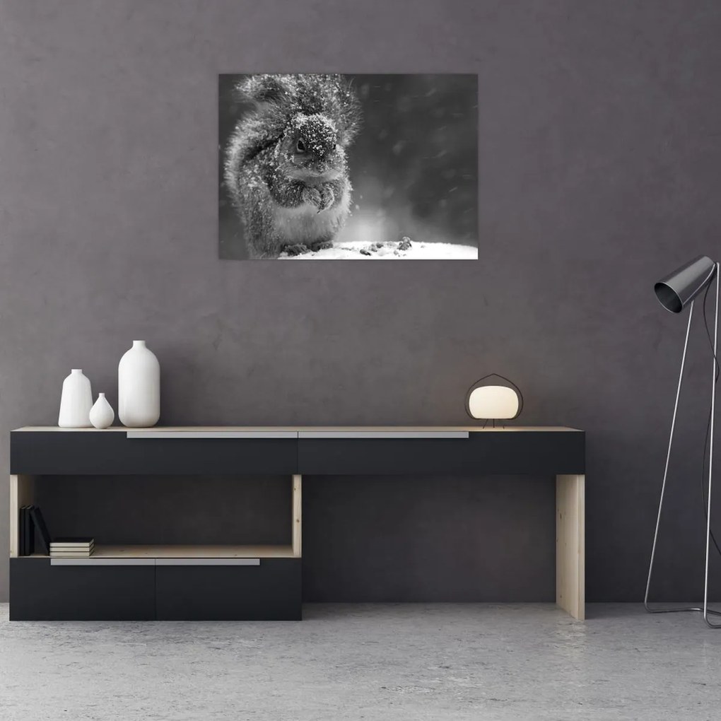 Obraz - Veverička v zime (70x50 cm)