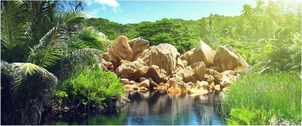 Obraz jazera v Seychelskej džungli (120x50 cm)