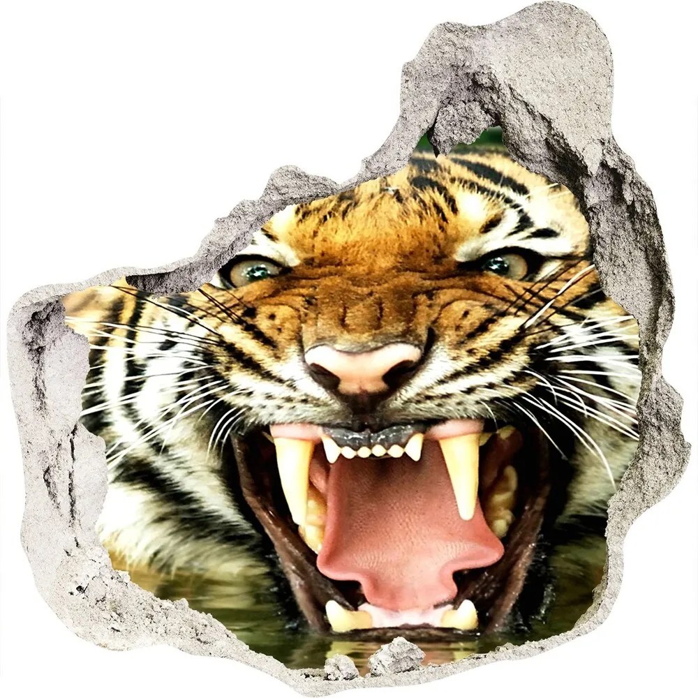 Diera 3D fototapety nálepka Tiger WallHole-75x75-piask-609474