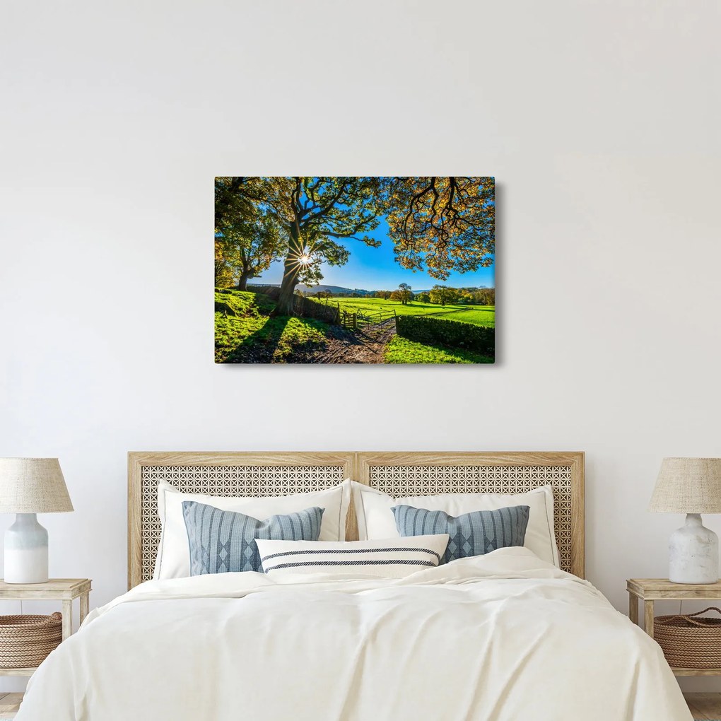 Obraz - Výhľad na pole (90x60 cm)